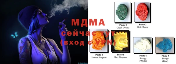 мдпв Богданович