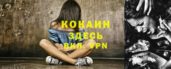 МДПВ Богородск