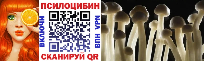 Галлюциногенные грибы мухоморы  MEGA ONION  Губкинский  купить наркотик 